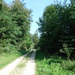 Auf dem Weg entlang der Steinbacher Höfe