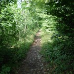 Singletrail auf dem Stuifenrücken