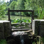 Aufgestauter Weiher im Beutental
