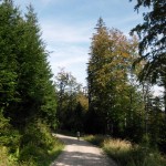 voralpen2011_33