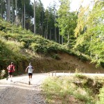 voralpen2011_38