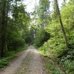 voralpen2011_43