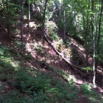 20120508_02