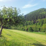 20120520_090020