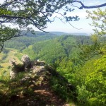 20120520_093259