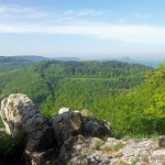 20120520_093325