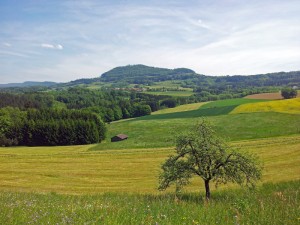 20120520_141517