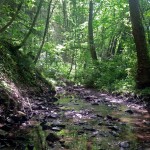 20120520_142714