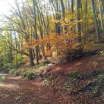 20121108_10