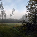 2012SUT100_MAX09